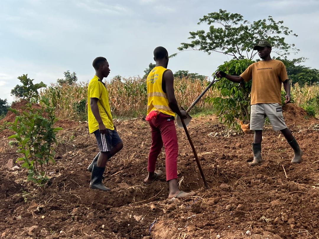 Youths working together in a community garden