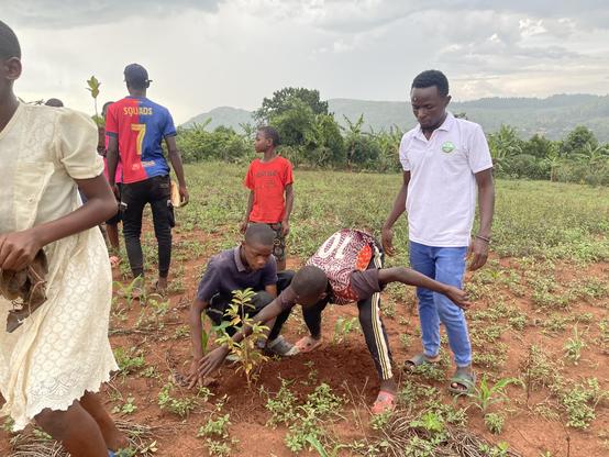 Young people planting tree seedlings